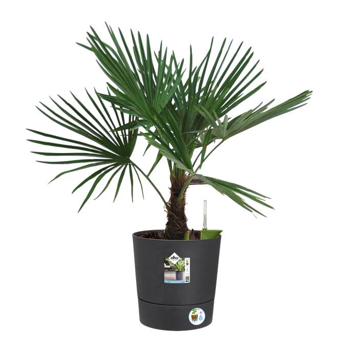 greensense aqua care rond 35cm houtskoolgrijs